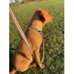 Personalised Dog Lead- Olive and Slate