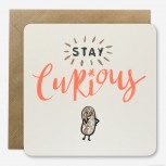 Stay curious